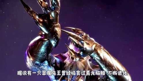 《斗罗大陆》中最强的鸟类魂兽,被龙族视为天敌,所到之处无人存活!