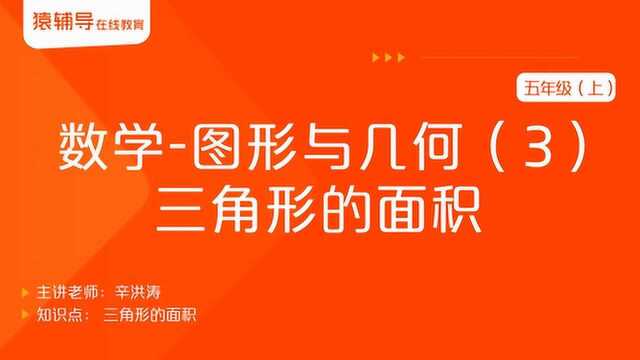 小学五年级(上)数学《图形与几何(3):三角形的面积》