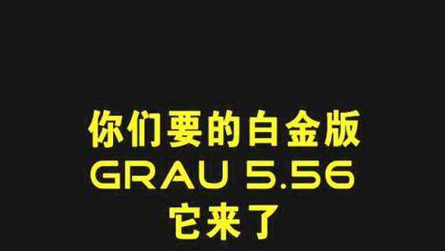 使命召唤战区 Grau556 配件效果为各位安排,瞄具随意配