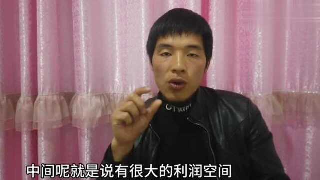 做自媒体的感受和初衷,现实是一首凉凉