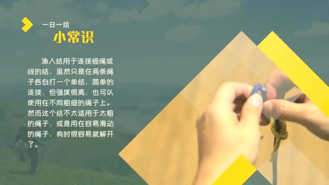 渔人结:户外运动必备绳结打法教程,快学学吧,生活中能用到它