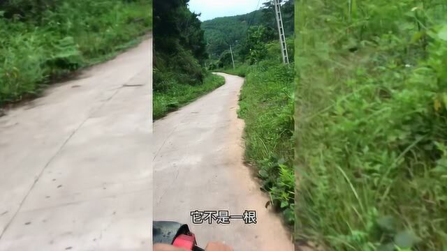 骑摩托车去越南,越南农民带深圳小伙进越南大山打猎