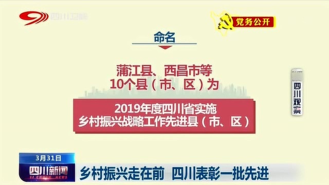 四川省政府发声:乡村振兴走在前 四川表彰一批先进!