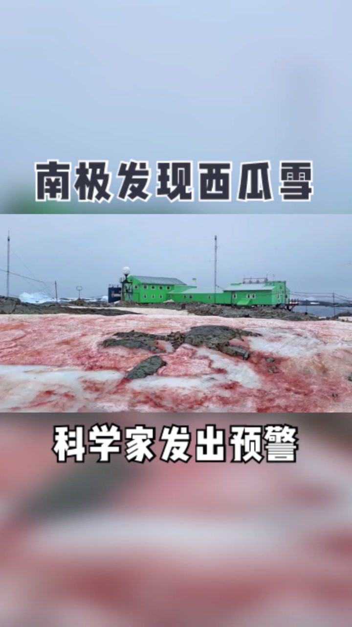 南极现西瓜雪科学家发出预警全球变暖的脚步可能加快
