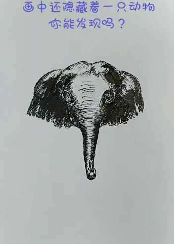 第一眼看是大象,仔细看发现画里隐藏着一只动物