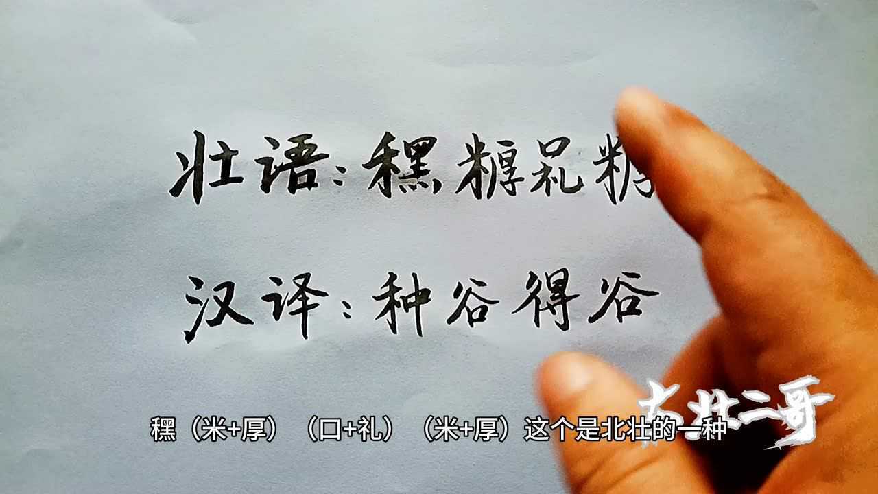 壮语文字:种谷得谷怎么说?进来看看吧_腾讯视频