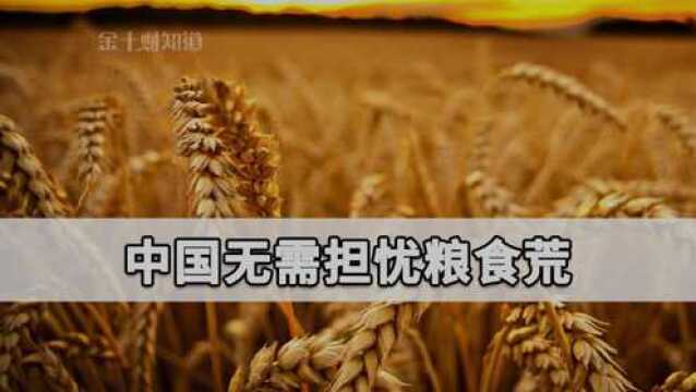 多国限制部分粮食出口?无需担忧,中国2大口粮自给率稳定98%以上