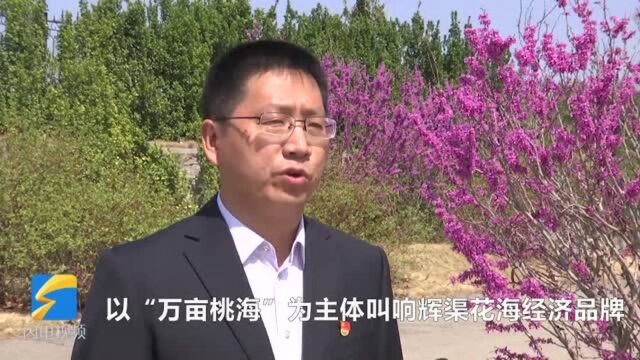 38秒|潍坊安丘倾心打造“美丽经济” 推动农旅深度融合