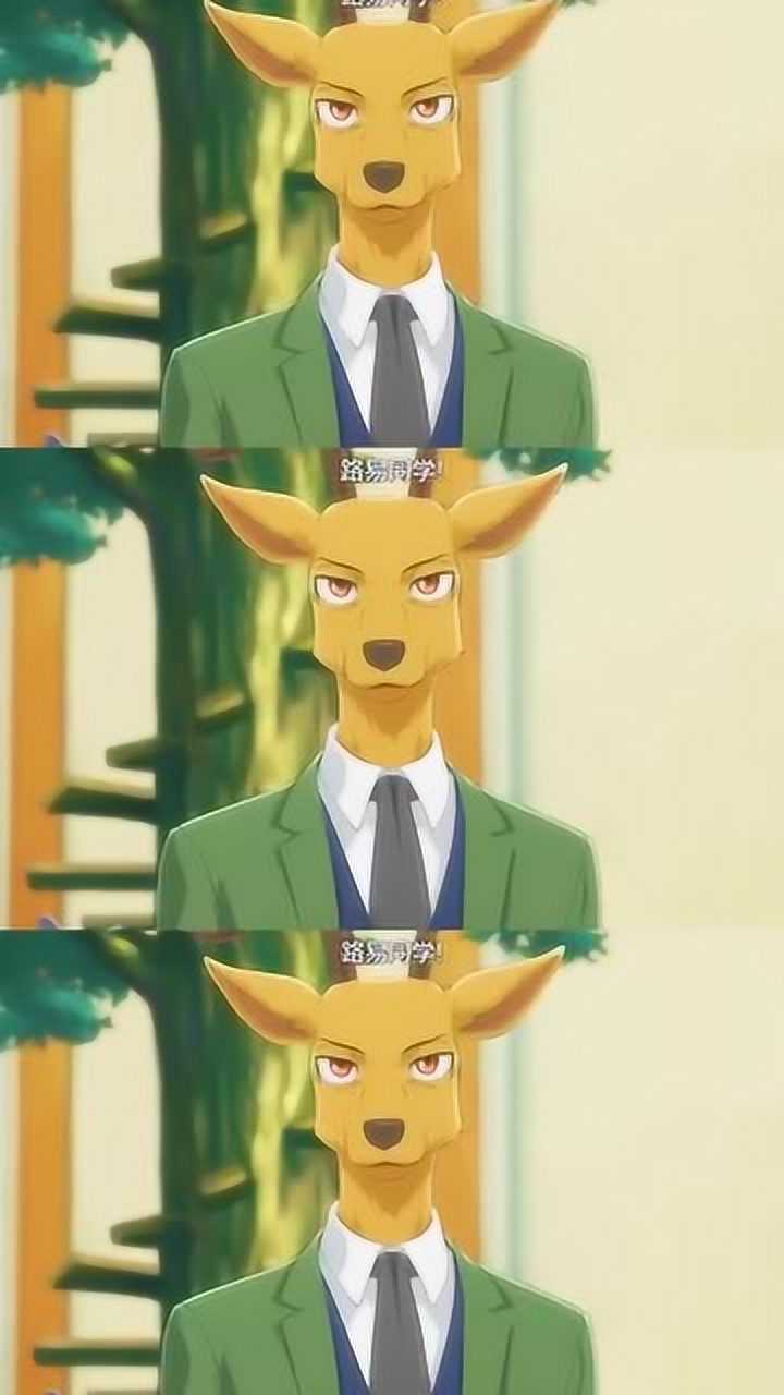 动物狂想曲这头鹿真的太招人喜欢了是怎么做到这么英俊的