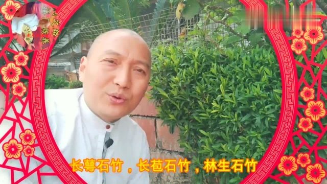 农村的石竹不是一般的花卉,可解决“女人的难言之隐”,请珍惜