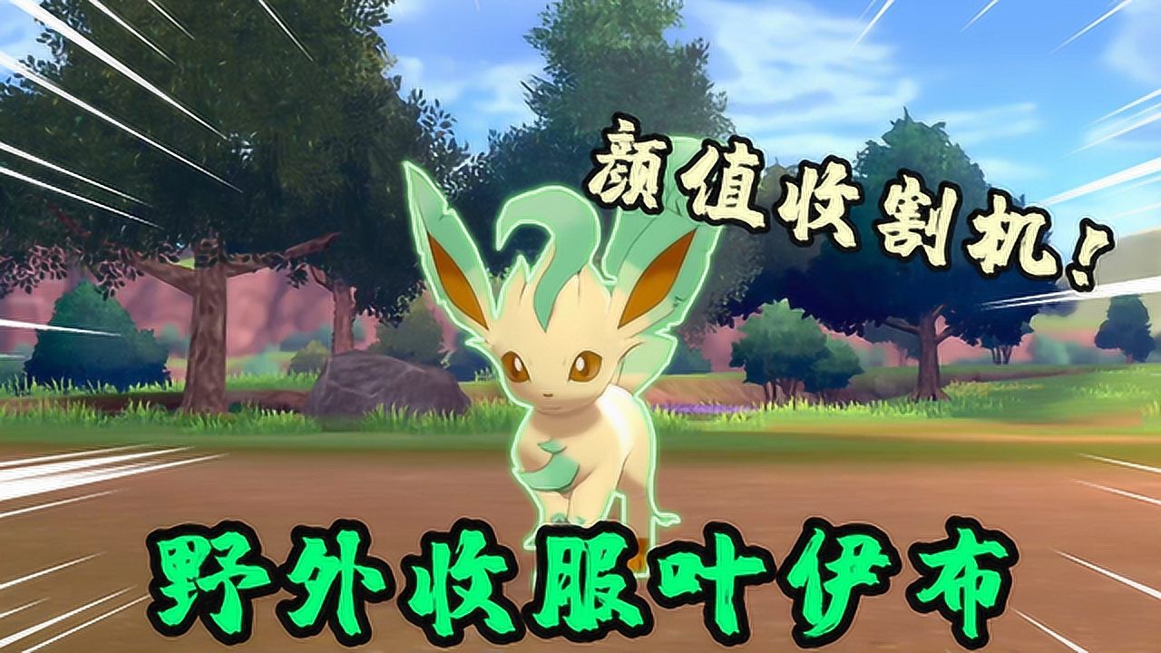宝可梦剑盾:得到太阳伊布后,我在野外遇到了它的兄弟叶伊布_高清1080P在线观看平台_腾讯视频