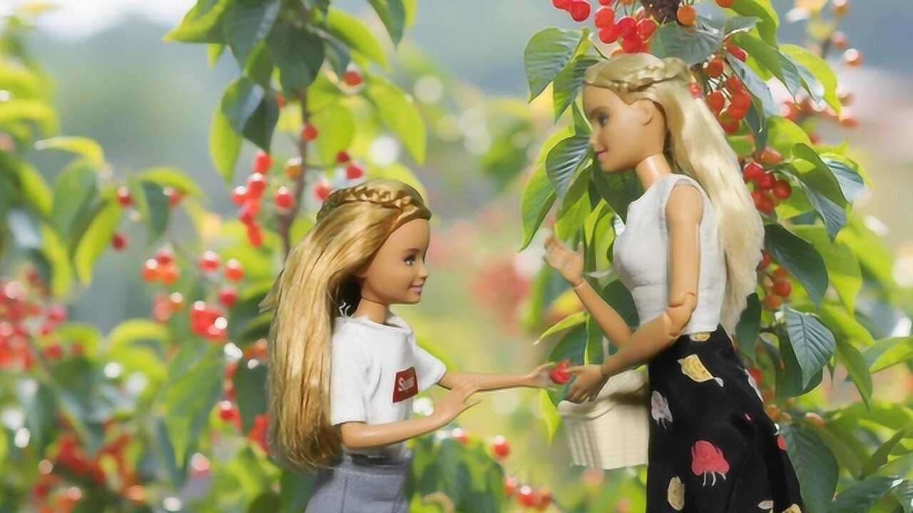 芭比和思茜开车去朋友那采摘,两人摘了好多蔬菜和水果