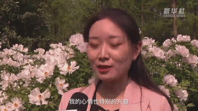 河南洛阳:线下+线上 共赏国色天香