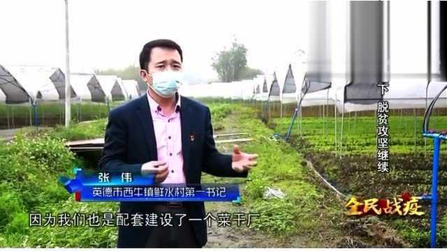 英德市西牛镇鲜水村驻村扶贫第一书记张伟带领工作队抗疫脱贫记录片.