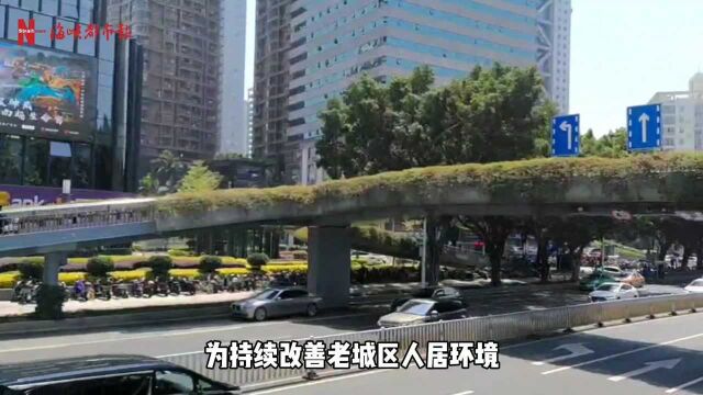 福州市区违章商业广告大拆除