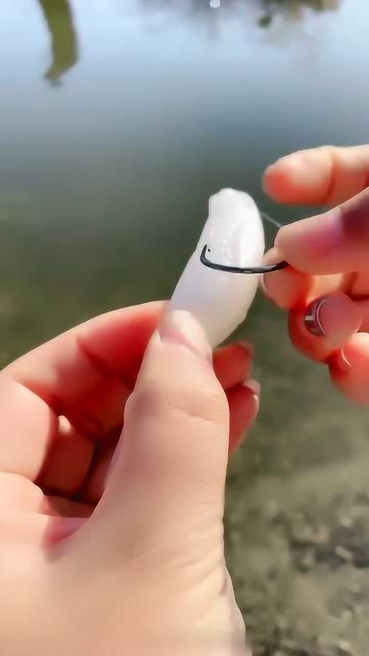 户外钓鱼,教你怎么穿鱼饵_腾讯视频