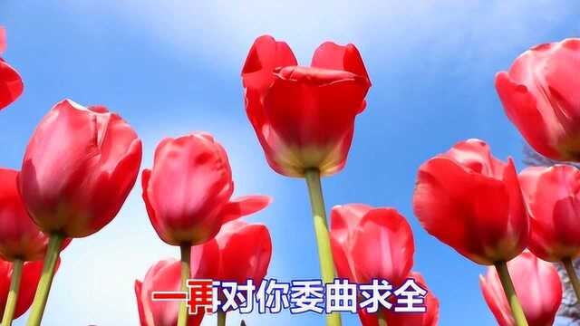 一首怀旧情歌《美丽的谎言》