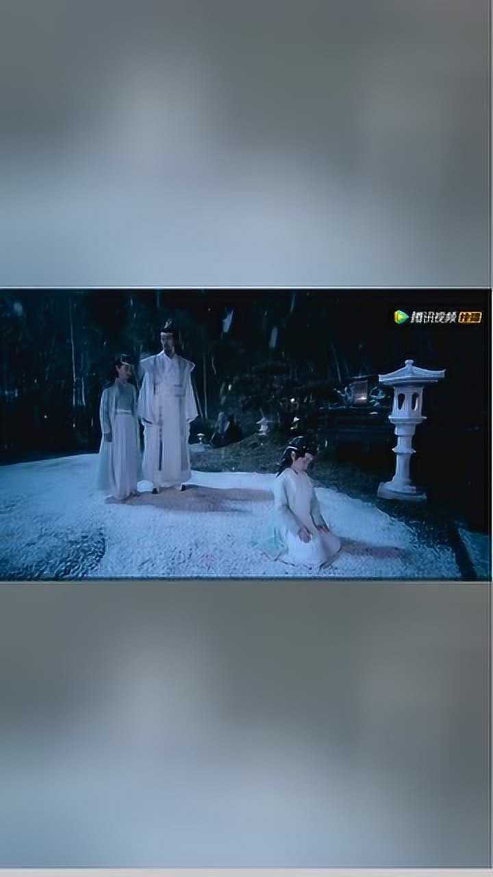 陈情令蓝曦臣回忆蓝忘机小时候苦等去世的母亲为他开门