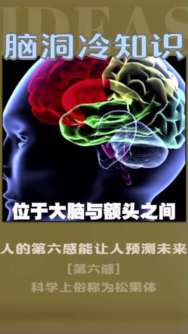 人的第六感是怎么回事,真的会很准吗