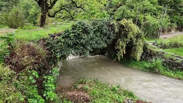 粤北九峰有一座千年石拱桥,曾经的湖广古道必经之路