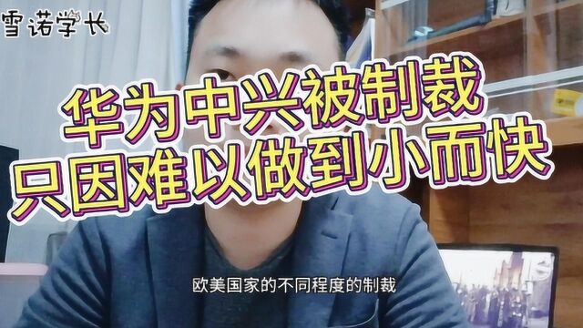 华为中兴这样的大厂为什么容易被欧美排挤?只因难以做到小而快