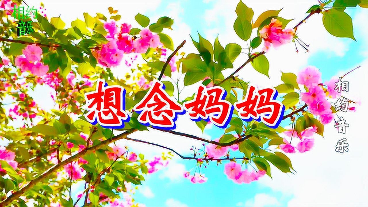 一首催泪歌曲《想念妈妈》天堂飘雪,听得泪流满面!感动万千儿女!