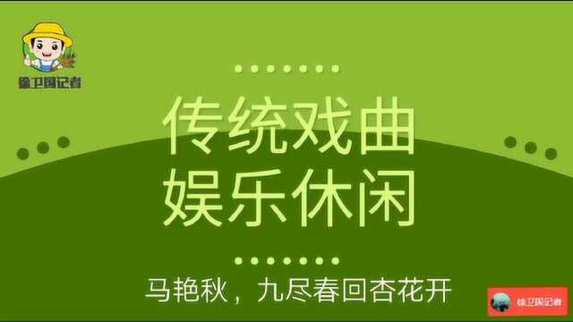 传统戏曲娱乐休闲,马艳秋,九尽春回杏花开