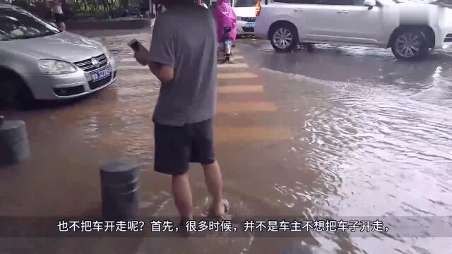 为什么路面已经淹水了,车主却不把汽车开走?今天总算知道了