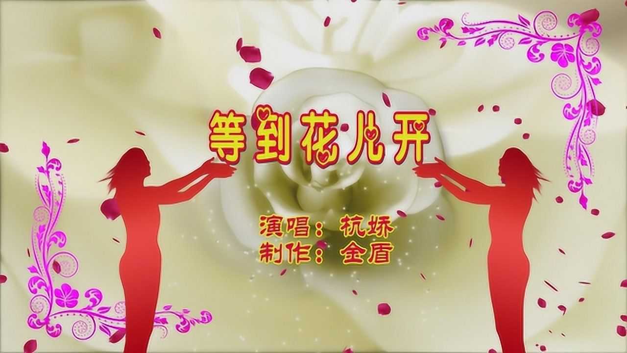 等到花儿开歌曲谱图片