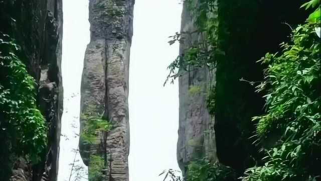 感叹大自然的鬼斧神工,这真的是恩施一炷香的风景啊,这里的风景这太美了吧