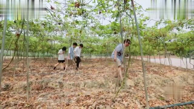 彭昱畅自信曝身高188引来众人质疑,黄磊补刀:公斤吧