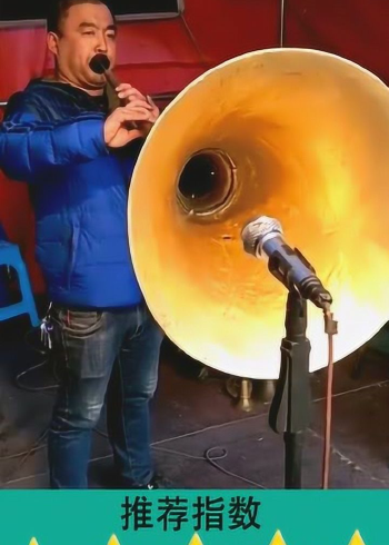 全网全球最大的唢呐,太狠了