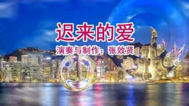 电吹管演奏的《迟来的爱》不愿放弃你的爱,这是我长久的期待