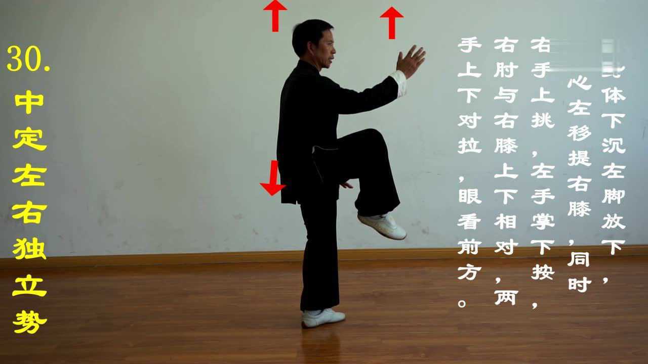 太极(八法五步)侧面动作分解