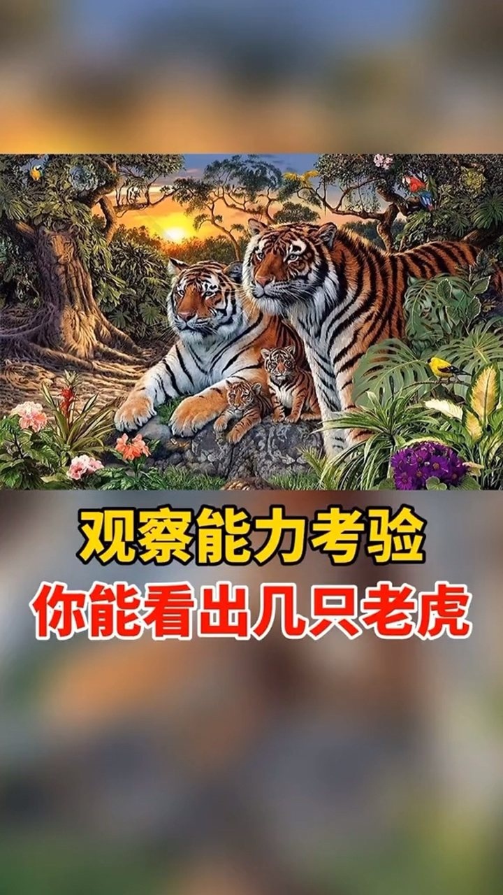 图中有16只老虎图片