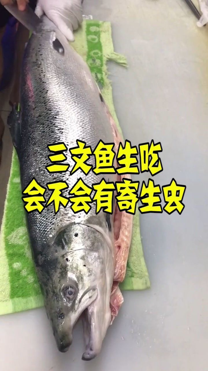 生吃三文鱼会不会有寄生虫看完这个你可以放心的生吃了