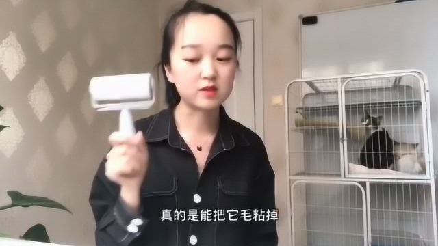 养猫中必备小物件,尤其第三个,是你的好帮手