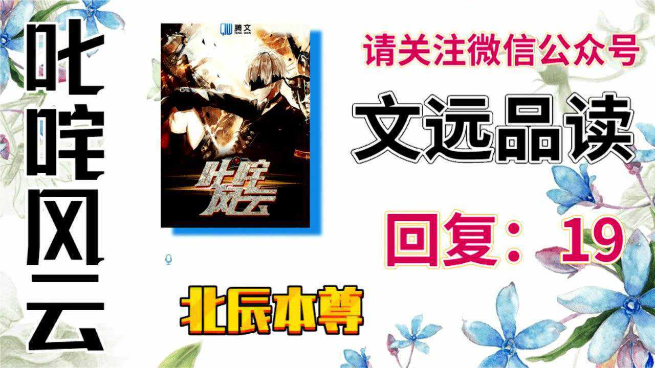 叱咤风云林云王雪北辰本尊公众号