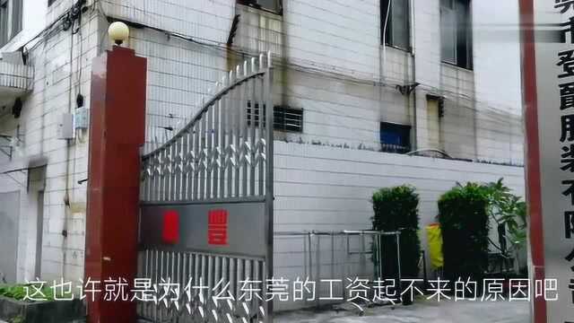 东莞:实拍电子厂工资待遇,看过后还敢抱怨吗?眼高手低的人太多