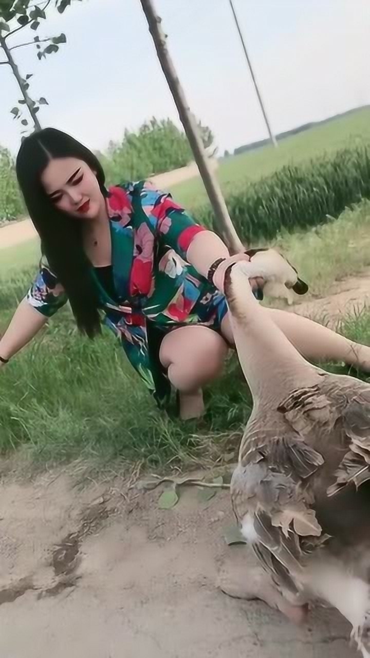 震惊美女徒手抓鹅这是要做什么