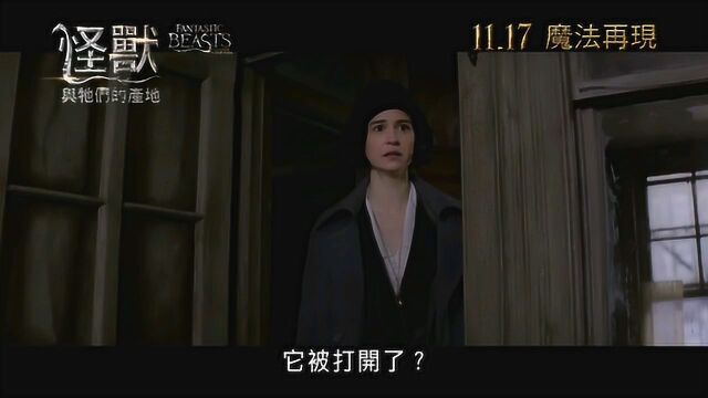 神奇动物在哪里 电视版6 (中文字幕)