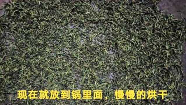 高山正宗绿茶,纯手工制做,太香了,难怪老板们都抢着要