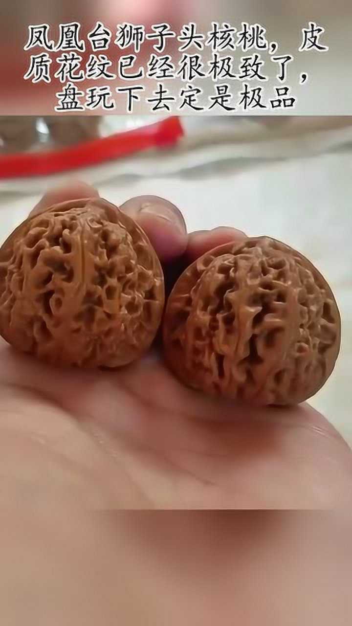 凤凰台狮子头核桃皮质花纹已经很极致了盘玩下去定是极品