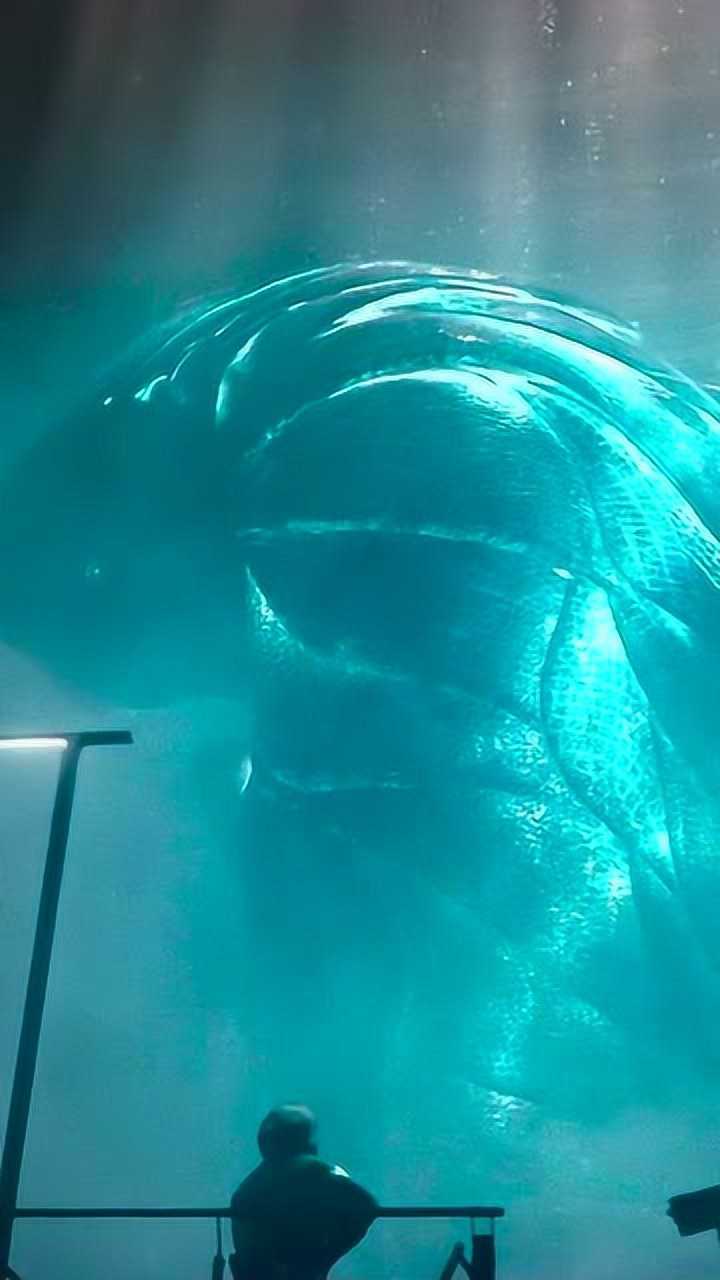 电影哥斯拉怪兽女王摩斯拉闪亮登场这样子也太酷了