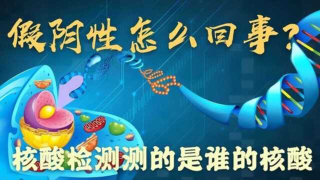 核酸检测假阴性是怎么回事?检测的到底是谁的核酸?PCR又是什么?