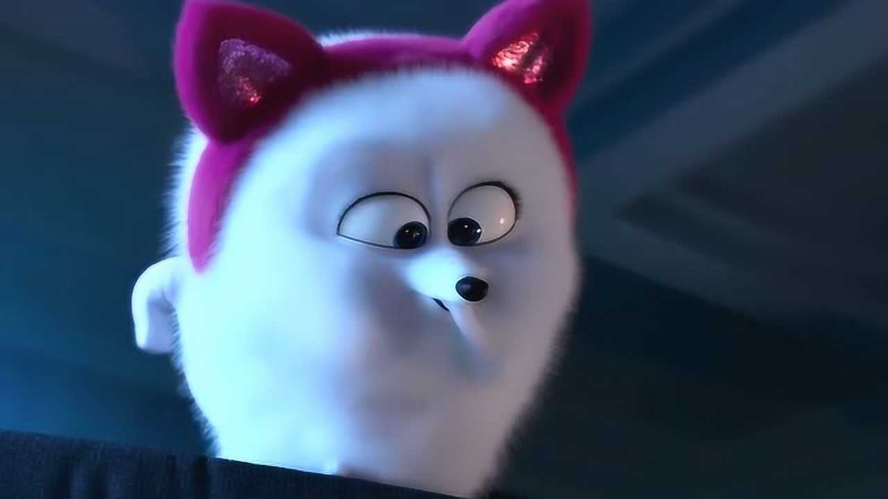 爱宠大机密:啾啾从那么高的地方跳下来,需要多大的勇气啊?