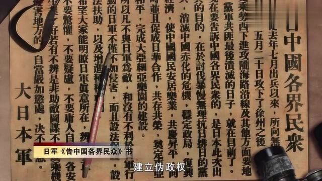 大抗战:汪伪政府成立淸乡委员会,汪精卫担任委员长