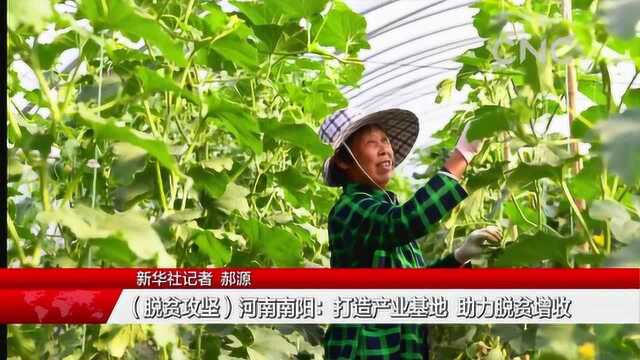 (脱贫攻坚)河南南阳:打造产业基地 助力脱贫增收