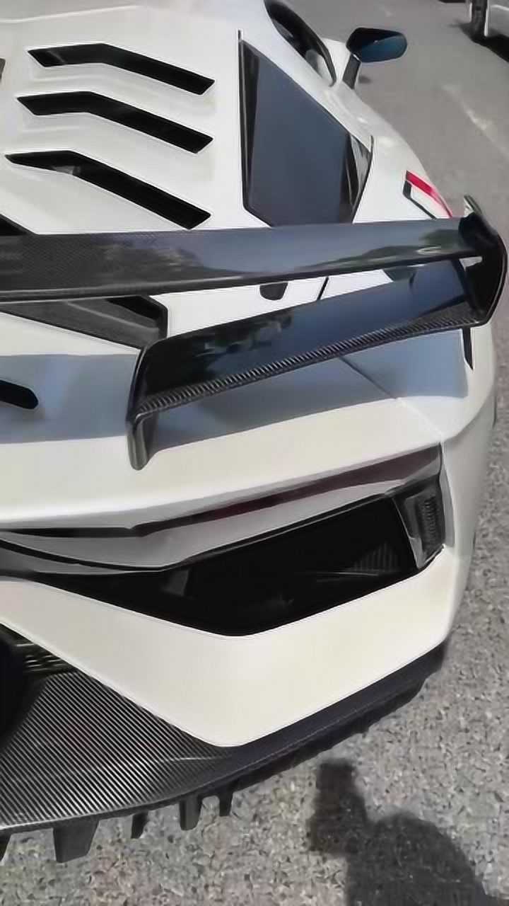 兰博基尼大牛svj,这么大的碳纤维尾翼得花多少钱啊