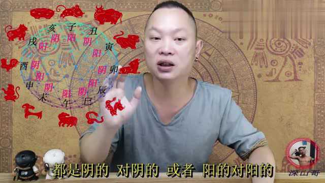 十二生肖相合与相冲的原理是什么?视频详细给你解说